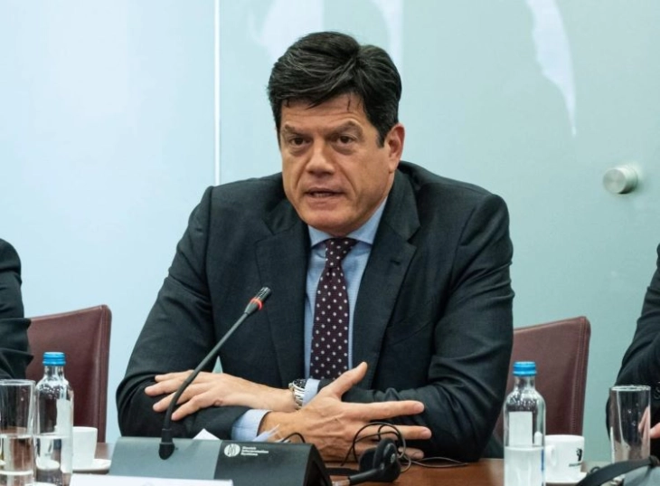 AB B&uuml;y&uuml;kel&ccedil;isi Rokas: &Uuml;yelik i&ccedil;in birlik şart