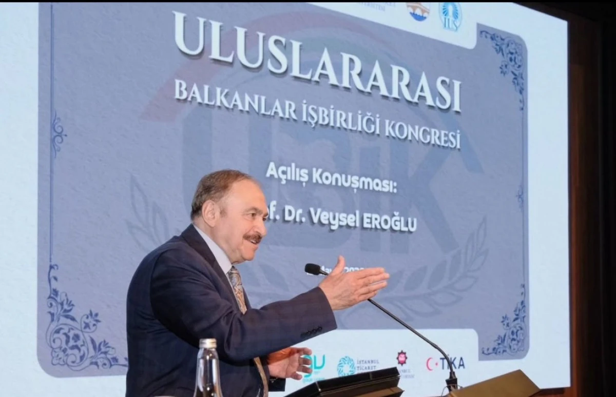 Balkanlar İşbirliği Kongresi İstanbul'da d&uuml;zenlendi
