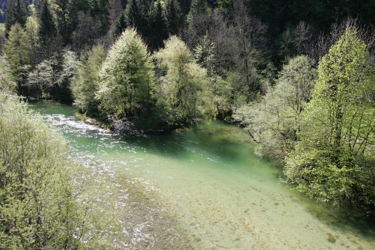 Balkanlar&rsquo;ın 'Mavi Kalbi' zayıflıyor: 13 Yılda 2.500 kilometre doğal nehir yok oldu