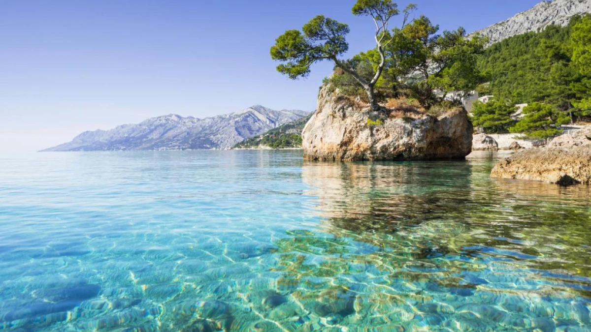 Bilim insanları uyardı: Adriyatik artık eski Adriyatik değil