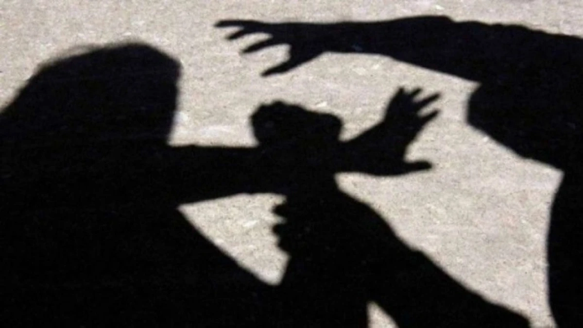Bir g&uuml;nde peş peşe aile i&ccedil;i şiddet vakaları: &Ccedil;ok sayıda kişi g&ouml;zaltına alındı