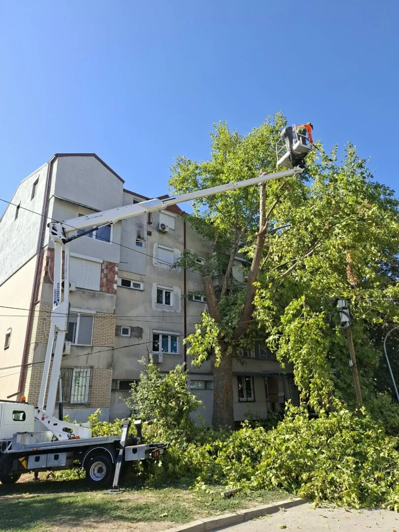 &Ccedil;ayır'da yeşil alanlarda yoğun &ccedil;alışma: 250'den fazla ağa&ccedil; budandı