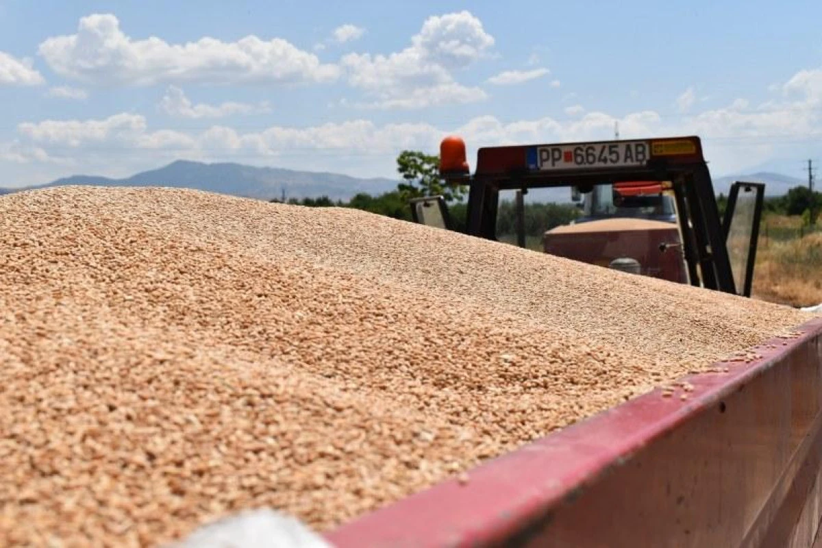 &Ccedil;ift&ccedil;ilerden buğday ve arpa i&ccedil;in acil destek talebi