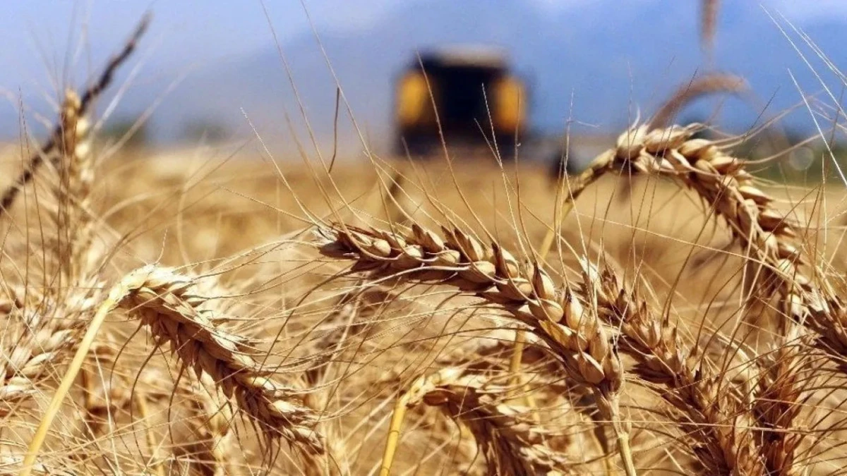 &Ccedil;ift&ccedil;ilere sıcak hava uyarısı: Sulama ve toprak işleme şart