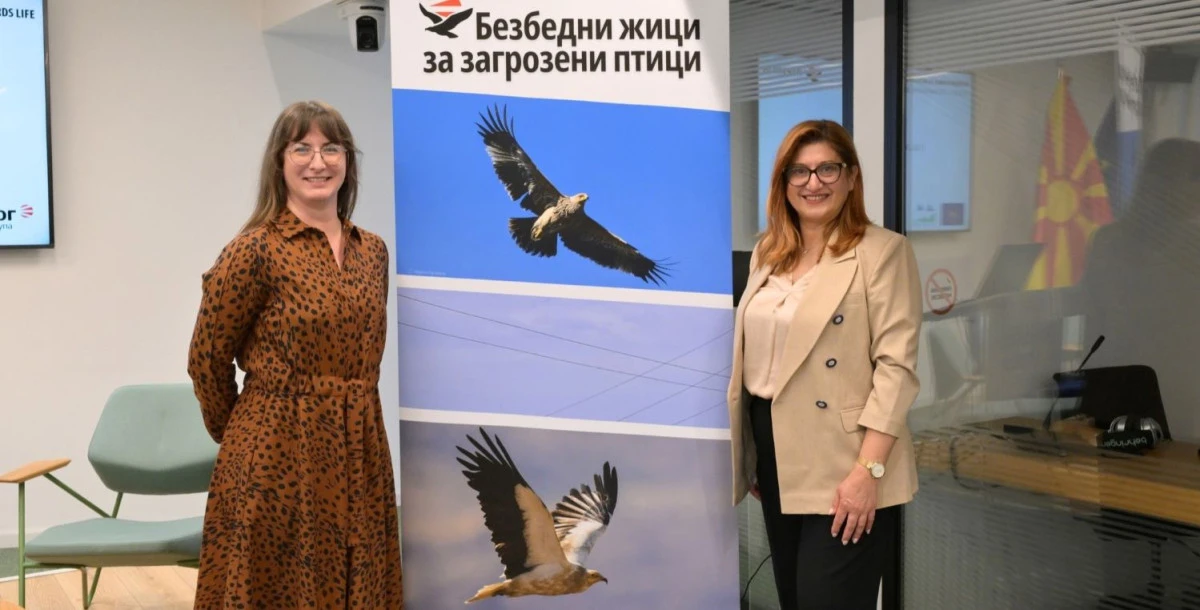 Elektrik direkleri kuşlar i&ccedil;in yalıtılıyor: 3 bin direk kuşları elektrik &ccedil;arpmasından kurtaracak