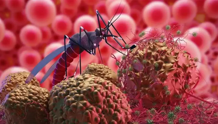 Epidemiyolog Danilovski uyardı: Durgun su birikintileri sivrisinek cenneti