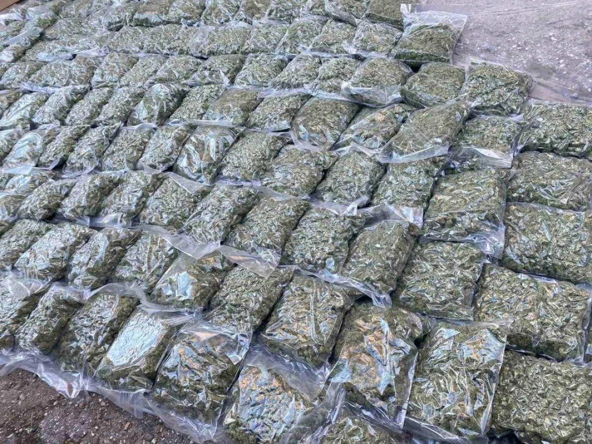 Esrar skandalı b&uuml;y&uuml;yor: SDSM&rsquo;den iktidara sert sorular