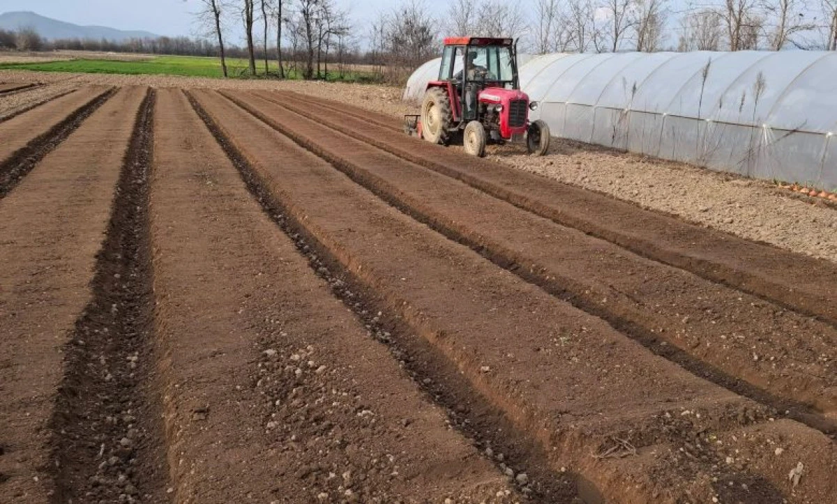 Fahiş artışa fren: G&uuml;brede kar marjı y&uuml;zde 5&rsquo;e &ccedil;ekildi