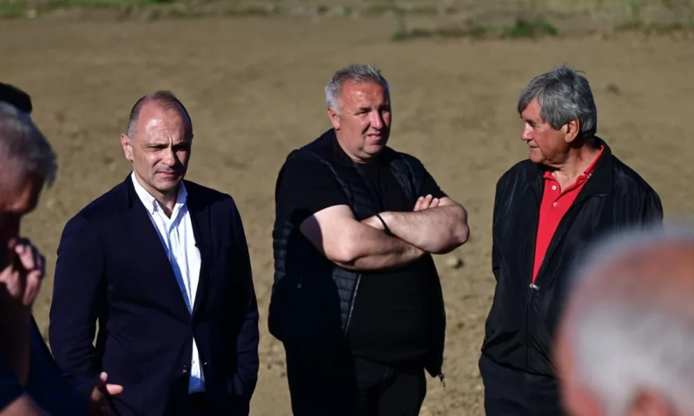 Filip&ccedil;e: Pirin&ccedil; &uuml;reticileri zor durumda, &uuml;retim maliyeti 32 denar, alım fiyatı 20 denar