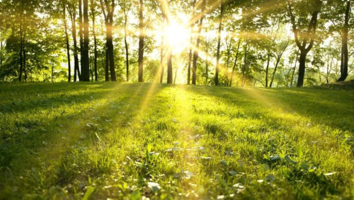 G&uuml;neş y&uuml;z&uuml;n&uuml; g&ouml;steriyor: Sıcaklık 23 dereceye kadar &ccedil;ıkacak