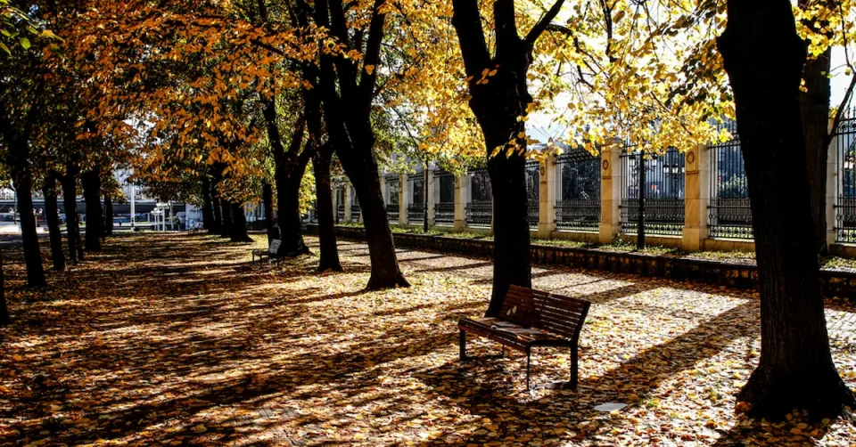 G&uuml;neşli hava &ccedil;arşambaya kadar s&uuml;recek, perşembe yağmur başlayacak