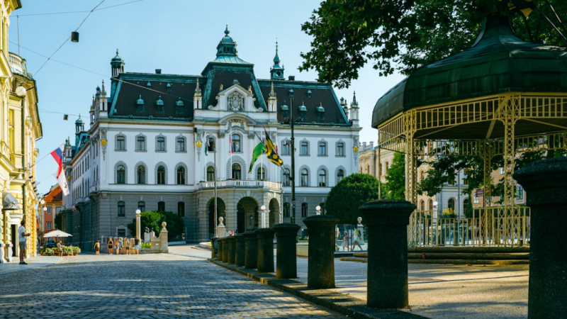 Slovenya’da eğitim alan Makedonyalı öğrenci sayısı her yıl artıyor
