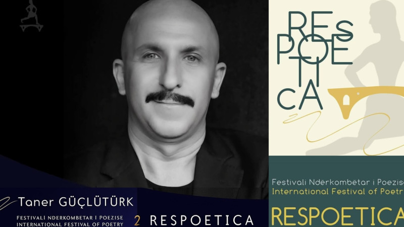 Taner Güçlütürk, 