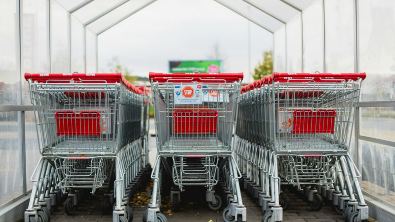 SSM: Dört kişilik ailenin asgari geçim maliyeti 65.173 denar