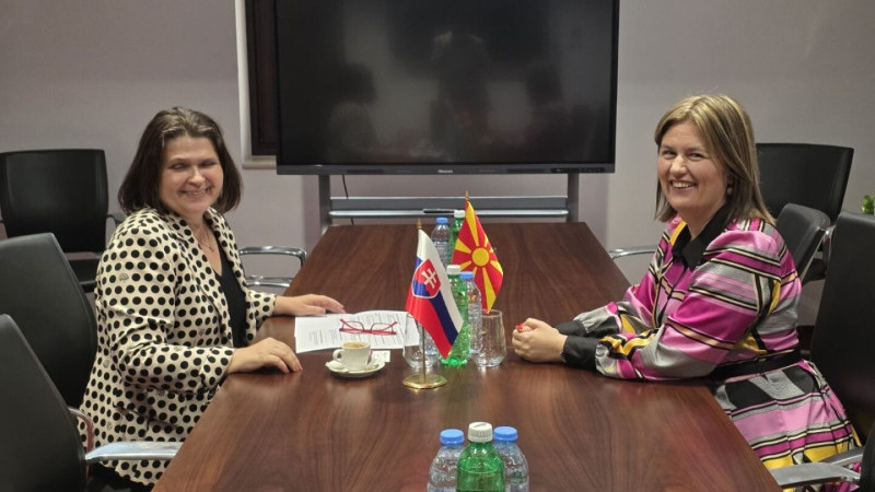 Kuzey Makedonya ve Slovakya enerji iş birliğini geliştiriyor