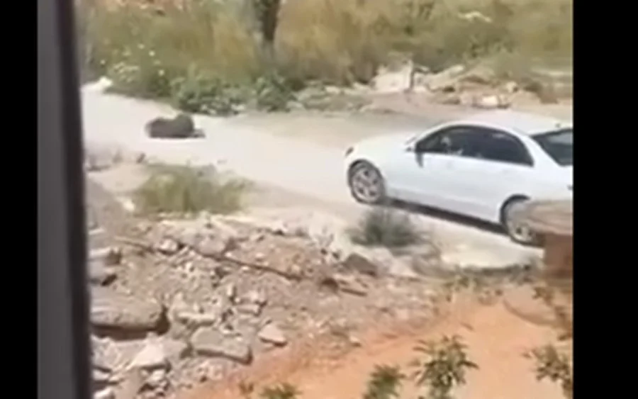 Karadağ'da k&ouml;peği ezerek &ouml;ld&uuml;ren Makedonya vatandaşı kadın g&ouml;zaltına alındı