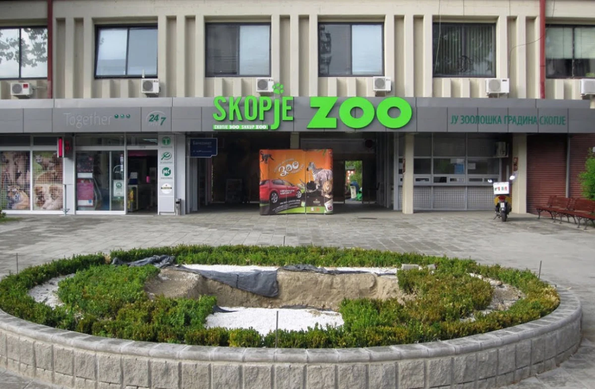 'Katledilen atlar kime aitti?' Anima Mundi kurumlara hesap soruyor