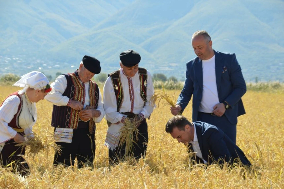 Ko&ccedil;ana'da 35. Pirin&ccedil; G&uuml;nleri başladı