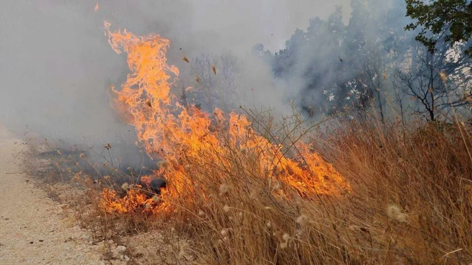 Kriz Y&ouml;netim Merkezi'nden yangın bilan&ccedil;osu: Bir aktif, iki kontrol altında