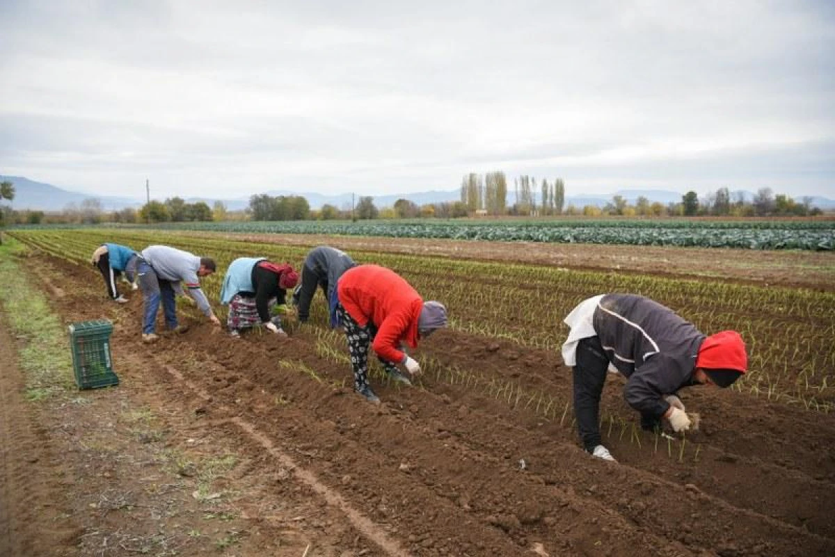 Kuzey Makedonya'da tarım destek programı k&uuml;&ccedil;&uuml;k &uuml;reticiyi isyan ettirdi