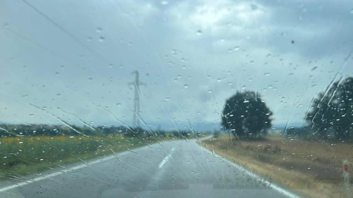 Kuzey Makedonya'da yağışlar tarımı iki y&ouml;nl&uuml; etkiledi: Hem bereket hem hastalık riski