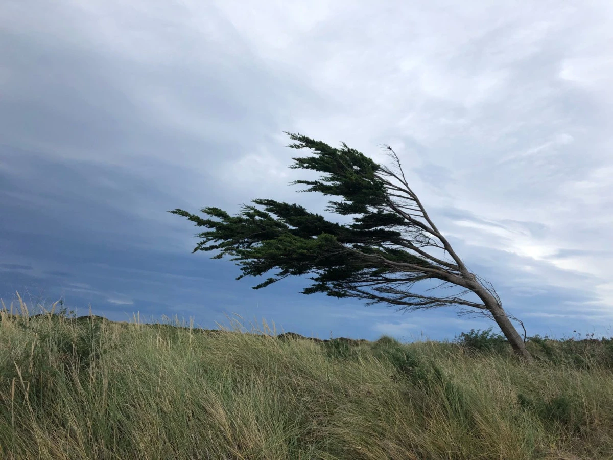 Pazar&rsquo;a kadar dikkat: Fırtına ve yoğun yağış bekleniyor