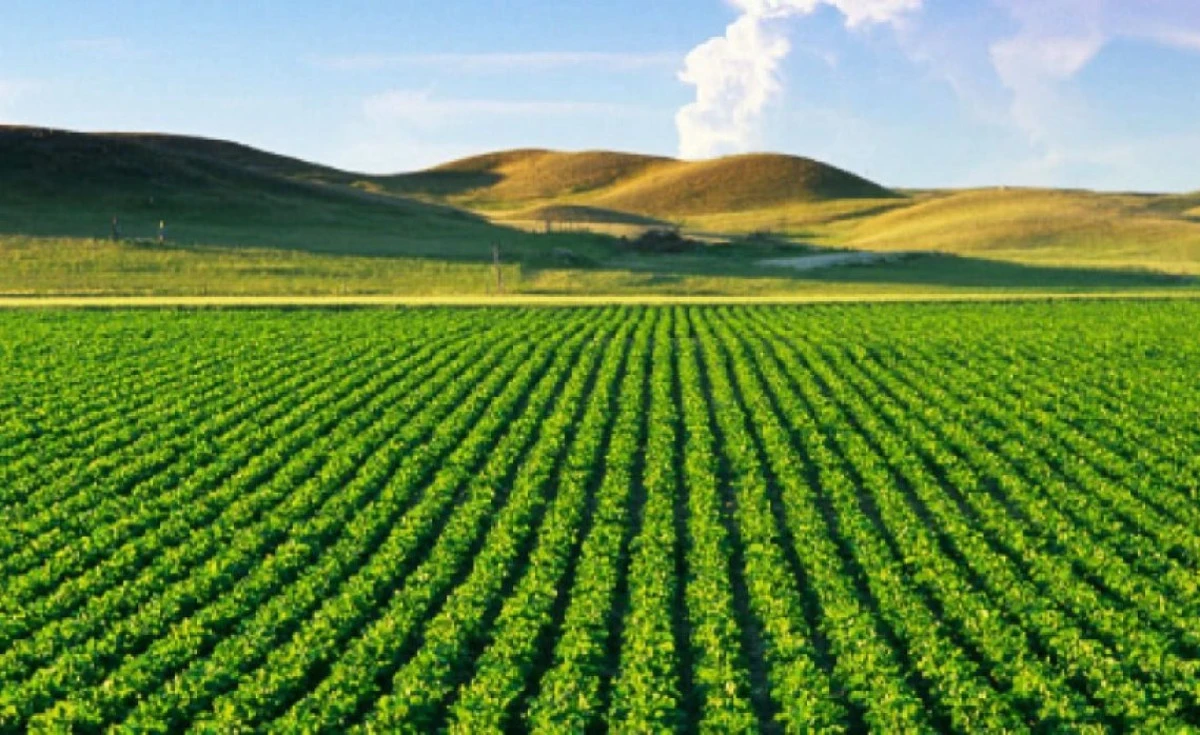 Pelagonya'da bahar ekimi başladı: 5.200 hektar tahıl, 8.400 hektar end&uuml;striyel &uuml;r&uuml;n