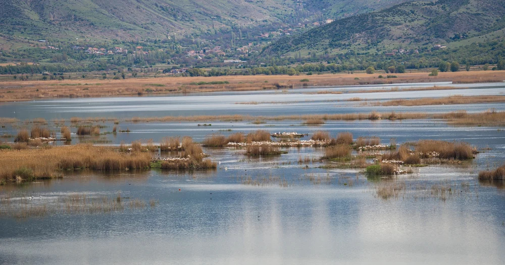 Prespa G&ouml;l&uuml;'nde balık&ccedil;ı kayboldu: 'Kaplanlar' arama &ccedil;alışmalarına katıldı