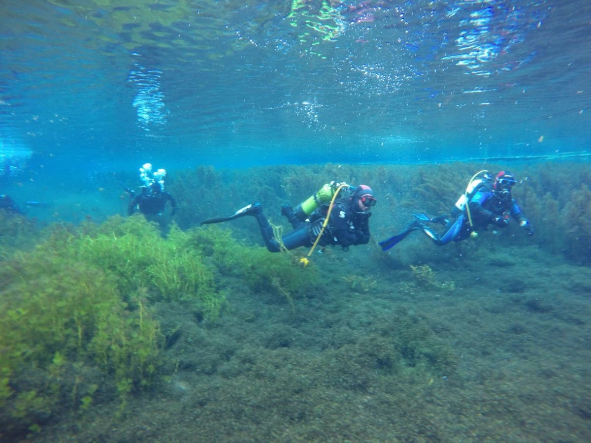UNESCO mirası i&ccedil;in ortak hareket: Ohri G&ouml;l&uuml; temizleniyor