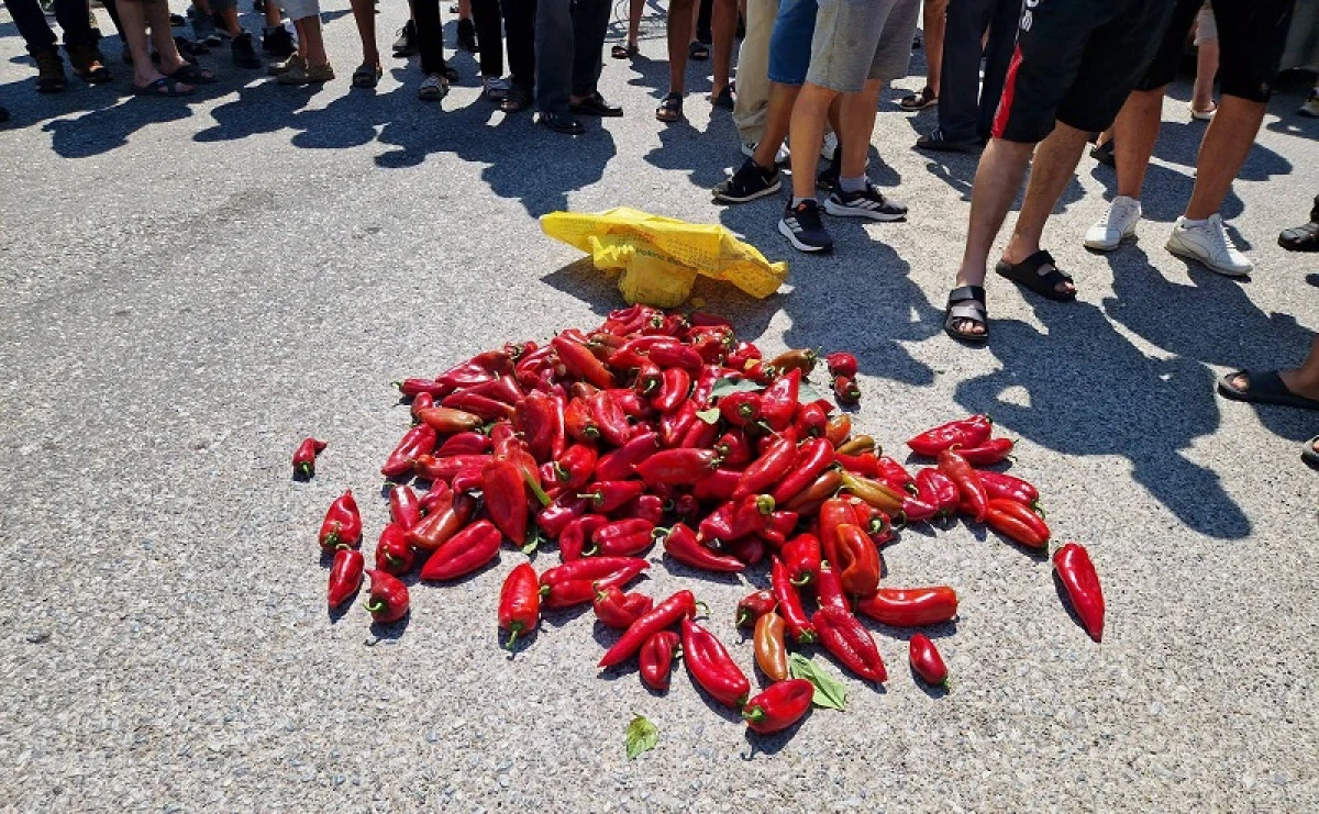 Ustrumca'da Ayvarka biberi &uuml;reticilerinden protesto: Anlaşılan fiyatlara uyulsun