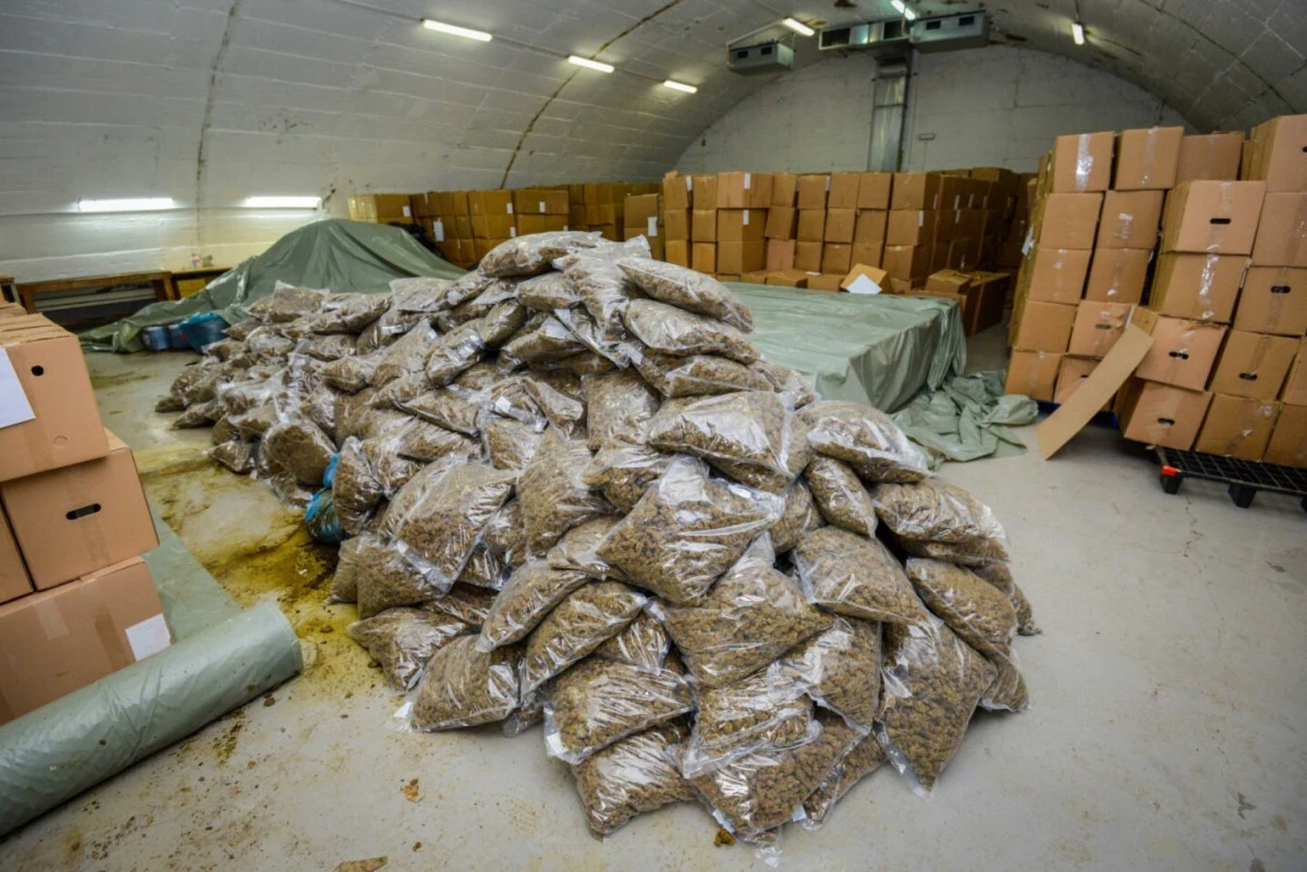 Valandova'da tıbbi kenevir tesisinde bir ton yasadışı esrar ele ge&ccedil;irildi